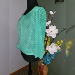 The Limited Womens Blouse Buttons Sheer Polyester